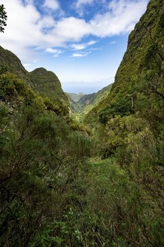 View of steep forested mountains, Levada do Caldeir&atilde;o Verde, Parque Florestal das Queimadas, Madeira, Portugal
