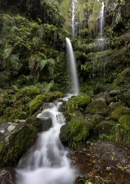 Waterfall on a rock face overgrown with ferns and moss, long exposure, Levada do Caldeir&atilde;o Verde, Parque Florestal das Queimadas, Madeira, Portugal