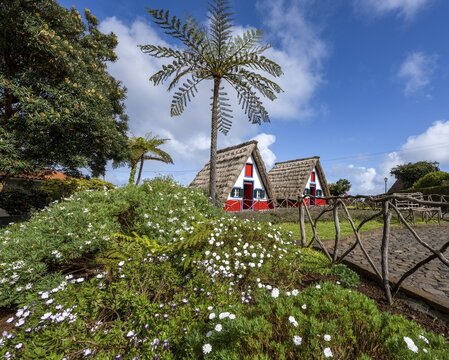 Traditional thatched houses, Casas de Colmo, Santana, Madeira, Portugal