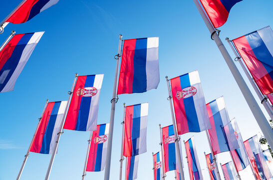 Low angle of numerous Serbian national flags waving on flagpoles against a blue sky background.