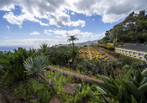 Flowerbeds with pattern, Botanical Garden, Jardim Botanico, Funchal, Madeira, Portugal
