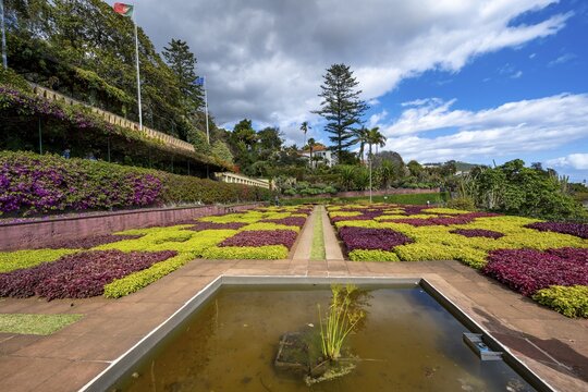 Flowerbeds planted as samples, Botanical Garden, Jardim Botanico, Funchal, Madeira, Portugal