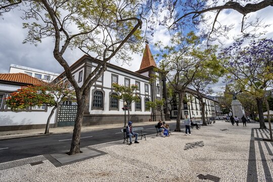 Promenade with Banco de Portugal, promenade, cobblestone avenue, Avenida Arriaga, Funchal, Madeira, Portugal