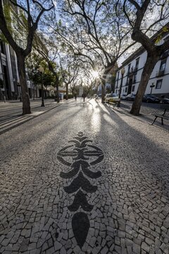 Floor mosaic on Avenida Arriaga, promenade with benches, promenade, avenue with cobblestones, Funchal, Madeira, Portugal