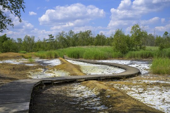 Plank path through the Soos mineral bog, Skaln&aacute;, Karlovarsk&yacute; kraj, Czech Republic