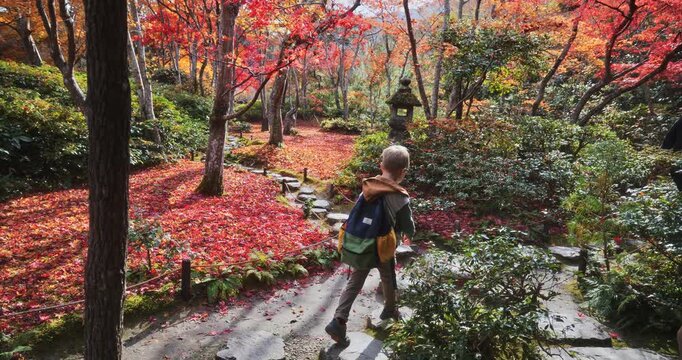 Young boy walking away from old Japanese home, down narrow stone path and into majestic autumn forest - steady cam