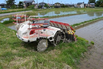 田植え作業中の水田