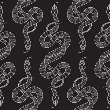 Seamless Snake Pattern Elegant Monochrome Reptile Line Vector Art