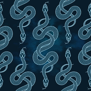 Seamless Snake Pattern Elegant Monochrome Reptile Line Vector Art