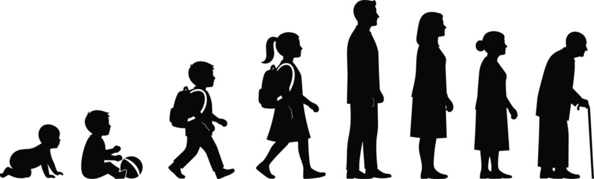 Human life stages silhouettes from baby to elderly, aging progression concept, childhood to adulthood artwork, generational development design, family growth theme, flat vector illustration