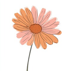 A simple illustration of a daisy with pastel orange and pink petals, a brown center, and a stem