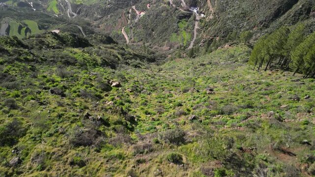 Gran Canaria &ndash; Wyspy Kanaryjskie &ndash; Hiszpania &ndash; Niesamowite widoki g&oacute;rskie uchwycone dronem. Szczyty g&oacute;rskie, chmury, las, skały i g&oacute;rskie drogi.