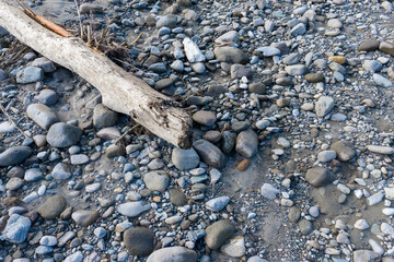 Driftwood On A Pebble Beach Surface With Smooth Gray Stones And Sand