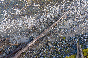 Pebble Beach Shoreline With Driftwood Log and Smooth River Stones Along the Quiet Beach © edb3_16