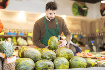 Fototapeta premium Eco food vegetable market, male worker and melon. Shop assistant add goods items in sales area. Worker add goods to showcase, sell imported and local farm agricultural products