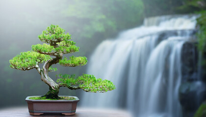 bonsai tree with waterfall