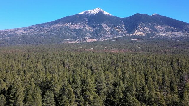 Snow-covered San Francisco Mountains in a forest of Ponderosa Pine near Flagstaff, Arizona