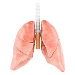 Fototapeta premium Smoking damage, concept. Human lungs with cigarette as trachea. 3D rendering