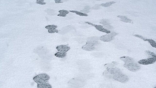 雪道と足跡