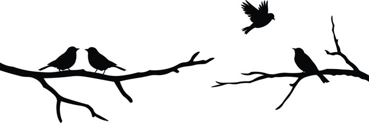 Birds on Branch Silhouette Set Flying and Sitting Bird Vector