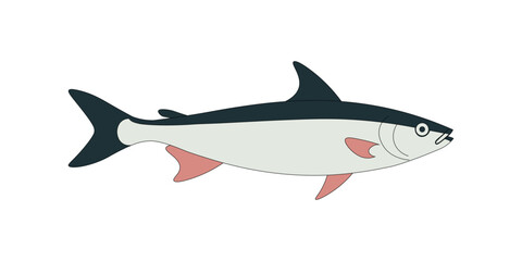 Tuna Fish Vector Illustration Side View Seafood Marine Animal