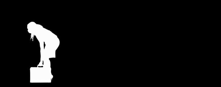 vector illustration of woman silhouette in daily work action with alpha channel