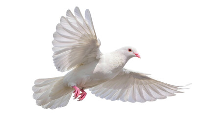 White dove flying with wings fully spread, pink beak and feet visible, isolated on transparent background