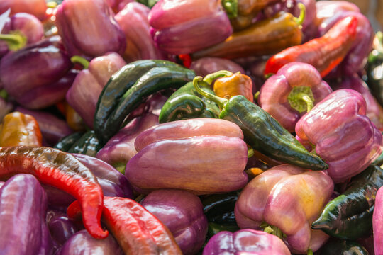 Canada, BC, Saltspring Island, Ganges.  Fresh peppers on sale at the famers market.