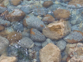 Transparent, crystal-clear waters of the Mediterranean Sea revealing smooth stones on the seabed along the coast of Calabria, southern Italy. Sunlight reflects through the shallow water, highlighting