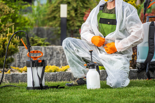 Gardener Sprays Plants in Green Space During Sunny Day