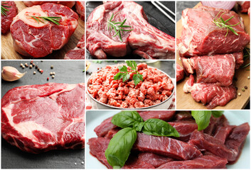 Fresh red meat. Collage with pieces and forcemeat, closeup