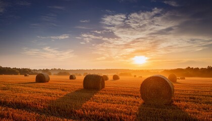 Hay Bales At Sunrise