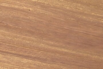 Obraz premium Warm Medium Brown Natural Mahogany Wood Straight Grain Horizontal Plank Texture Seamless Background