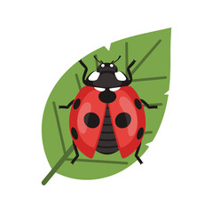 Obraz premium A colorful illustration of a ladybug sitting on a leaf in a natural vetcor setting.