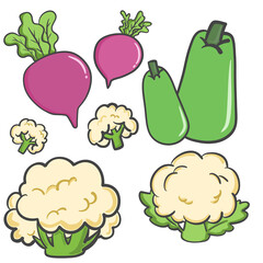 Fototapeta premium Fresh beetroot cauliflower and opo squash clipart set, organic bottle gourd and purple garden beet isolated on transparent background for healthy food design