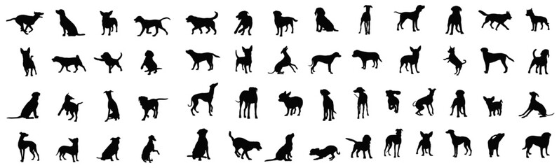 Obraz premium Various Dog Breeds Silhouettes: A captivating array of various dog breeds, showcasing the grace and diverse poses of canines. A compilation of dog forms and shadow representations. 