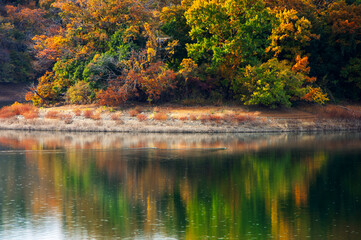 Fototapeta premium 風景