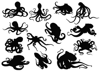 Octopus Silhouette Collection: A captivating arrangement of various octopus silhouettes, showcasing their unique forms and dynamic poses, offering versatility for diverse design applications. © Saiid-Designs