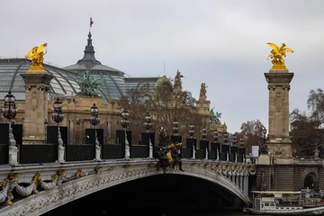 Ingelijste posters Pont Alexandre III Pont Alexandre III in Paris  © Gabriel