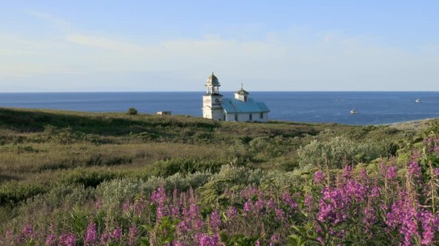 Alaskan orthodox church on a coastal hillside with purple fireweed flowers and the ocean behind