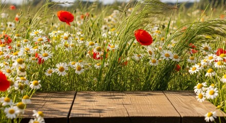 Wooden platform amidst a vibrant field of poppies and daisies.