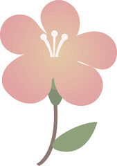 Fototapeta premium 벚꽃