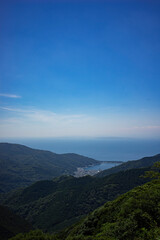 夏の静岡県沼津市戸田地区