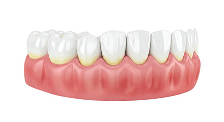 Obraz premium Close-up 3D rendering of healthy human gums and teeth
