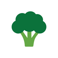 vector broccoli isolated on white background