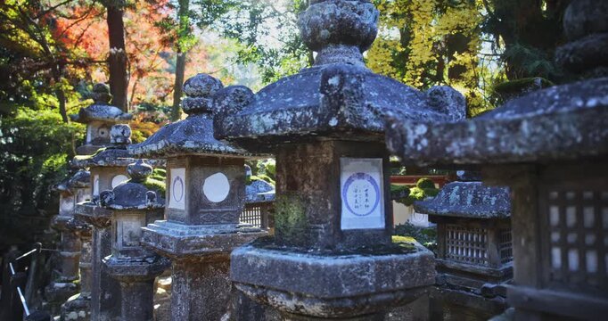 Old, Mossy stone lanterns in beautiful Japanese autumn forest - steady cam movement