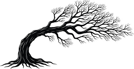 Obraz premium Hand Drawn Windswept Tree Silhouette with Gnarled Branches and Deep Roots Isolated on White Background for Nature Conservation Design and Zen Minimalist Landscape Concept