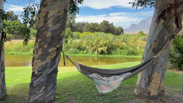 A hammock tied around two trees in camping site near Cape Town.