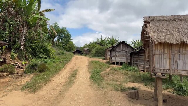 View from a driving car in Mantadia National Park Madagascar.