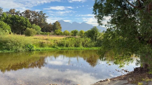 A river in the Winelands area of the Cape in Southern Africa.